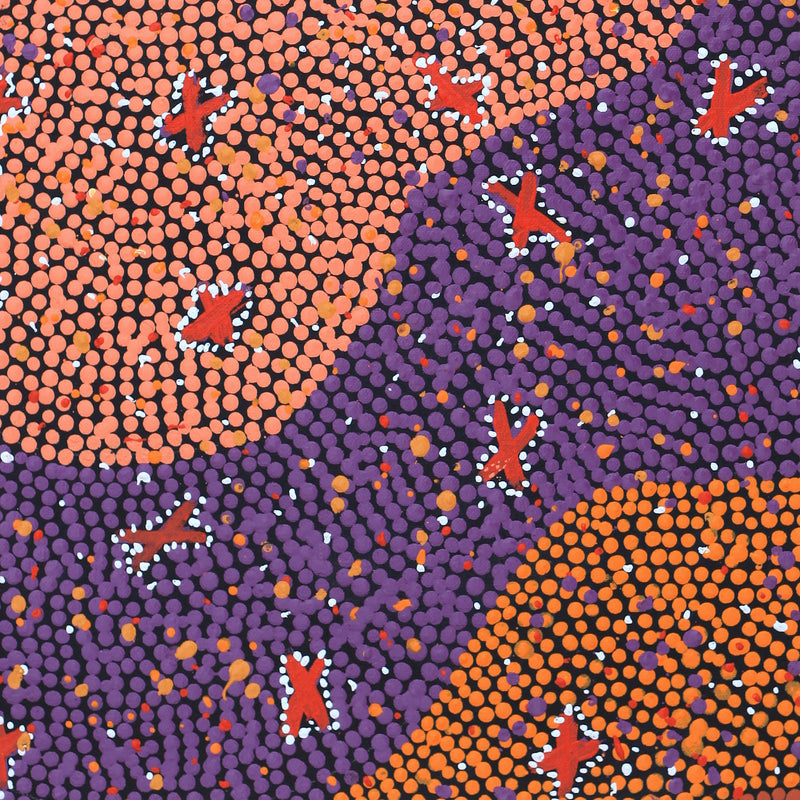 Aboriginal Artwork by Dora Napaljarri Kitson, Ngatijirri Jukurrpa (Budgerigar Dreaming), 46x46cm