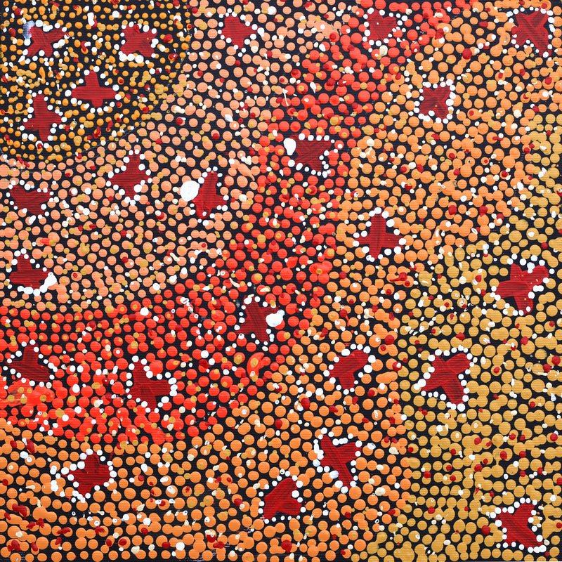 Aboriginal Artwork by Dora Napaljarri Kitson, Ngatijirri Jukurrpa (Budgerigar Dreaming), 30x30cm