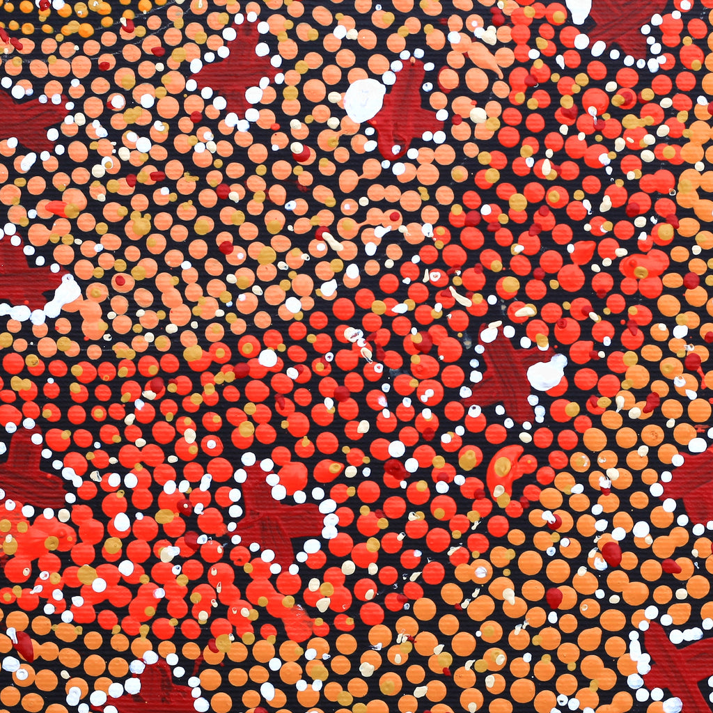 Aboriginal Artwork by Dora Napaljarri Kitson, Ngatijirri Jukurrpa (Budgerigar Dreaming), 30x30cm