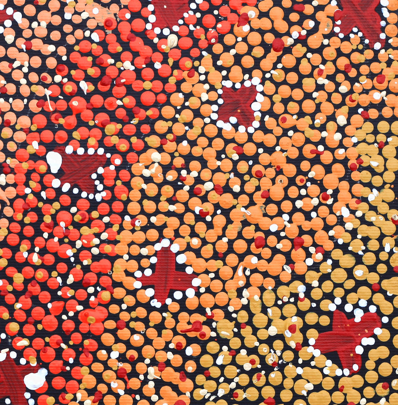 Aboriginal Artwork by Dora Napaljarri Kitson, Ngatijirri Jukurrpa (Budgerigar Dreaming), 30x30cm