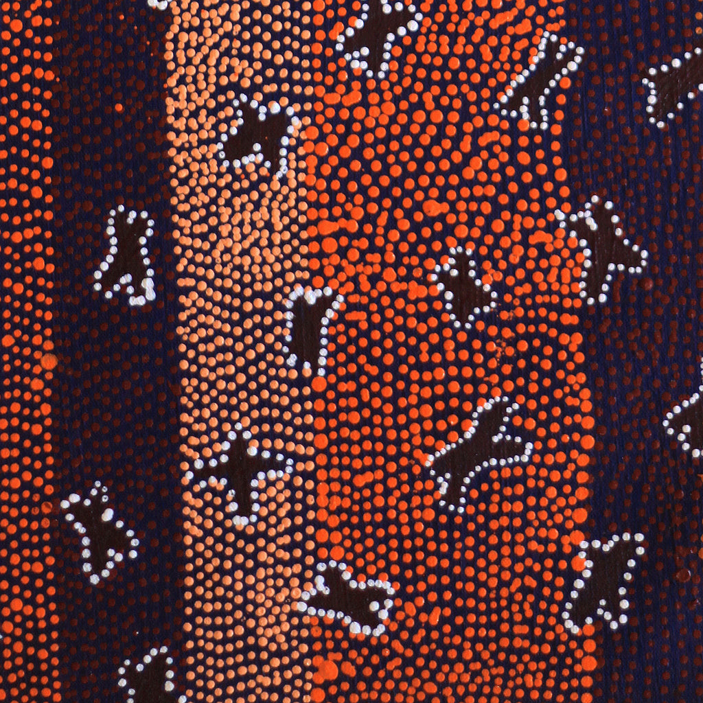 Aboriginal Artwork by Dora Napaljarri Kitson, Ngatijirri Jukurrpa (Budgerigar Dreaming), 61x30cm