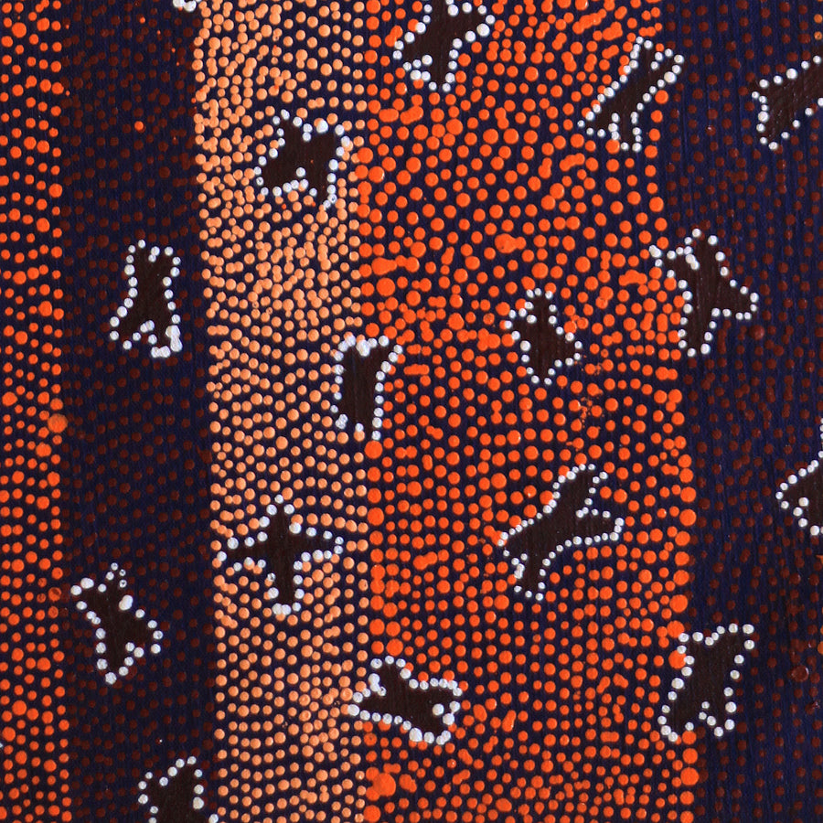 Aboriginal Artwork by Dora Napaljarri Kitson, Ngatijirri Jukurrpa (Budgerigar Dreaming), 61x30cm
