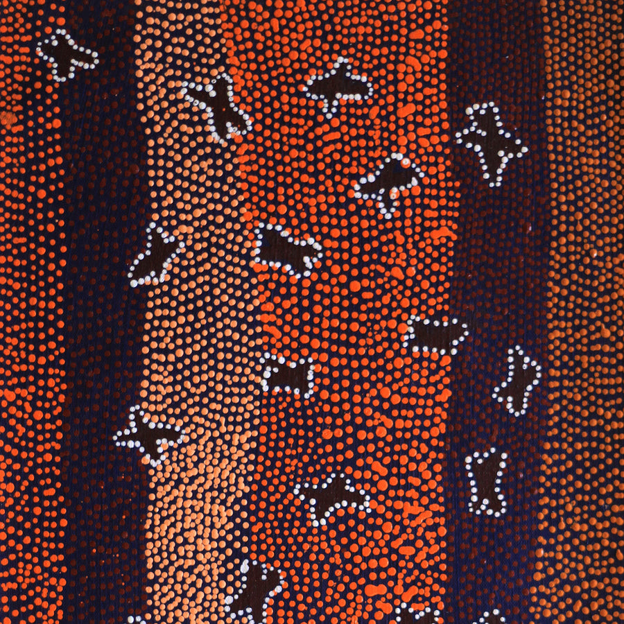 Aboriginal Artwork by Dora Napaljarri Kitson, Ngatijirri Jukurrpa (Budgerigar Dreaming), 61x30cm