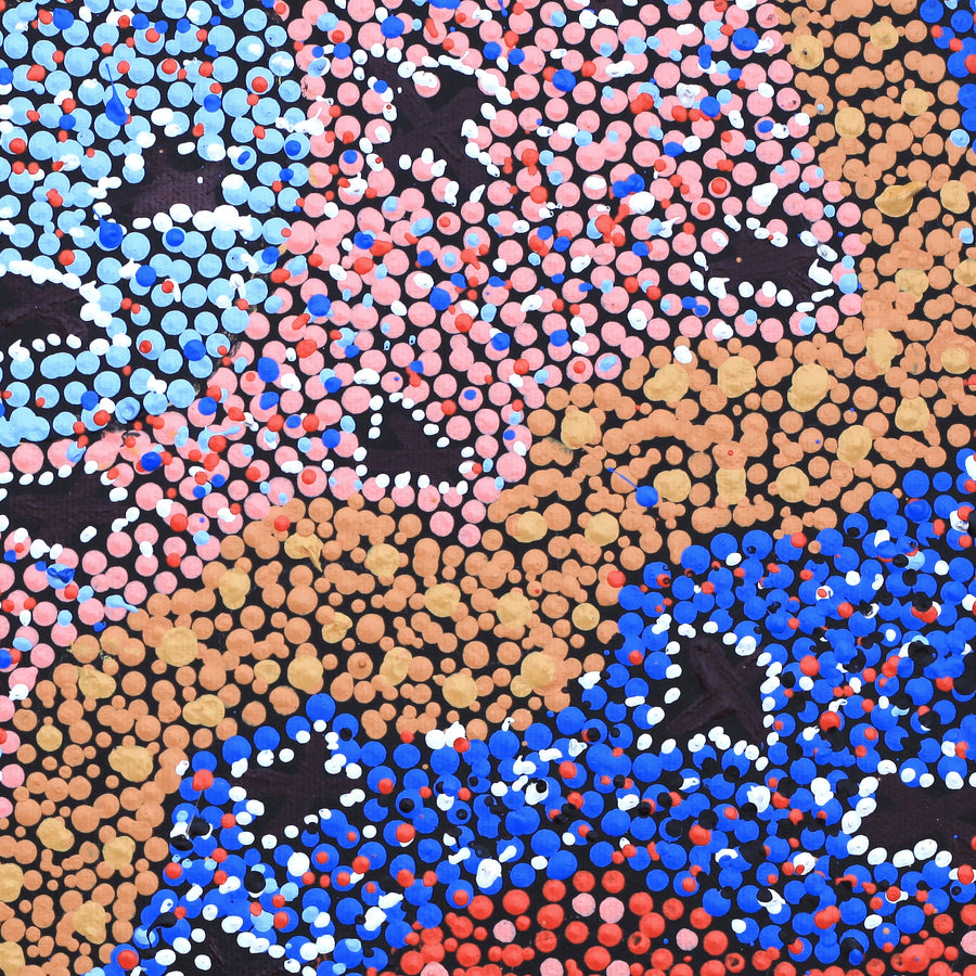 Aboriginal Artwork by Dora Napaljarri Kitson, Ngatijirri Jukurrpa (Budgerigar Dreaming), 30x30cm