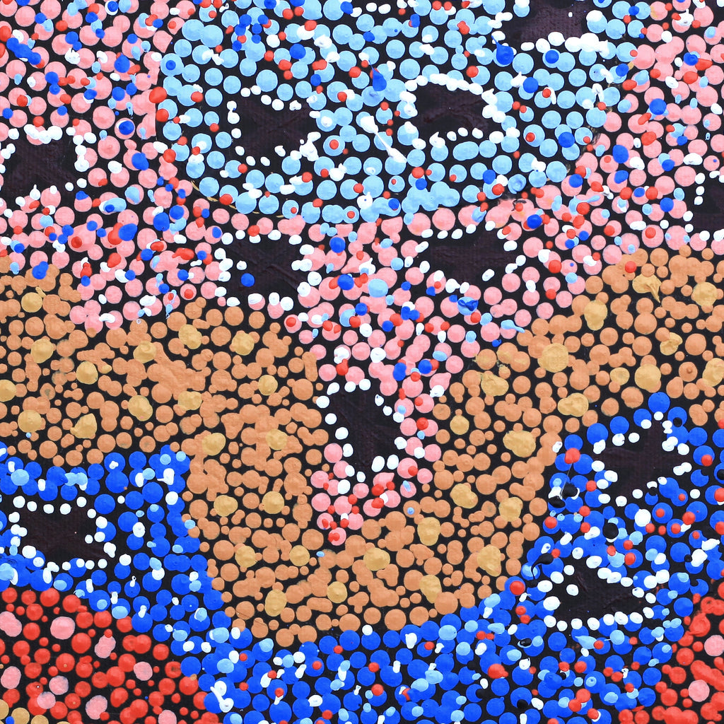 Aboriginal Artwork by Dora Napaljarri Kitson, Ngatijirri Jukurrpa (Budgerigar Dreaming), 30x30cm