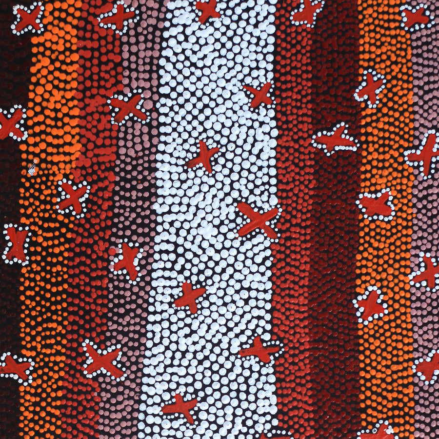 Aboriginal Artwork by Dora Napaljarri Kitson, Ngatijirri Jukurrpa (Budgerigar Dreaming), 61x30cm