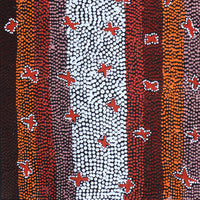 Aboriginal Artwork by Dora Napaljarri Kitson, Ngatijirri Jukurrpa (Budgerigar Dreaming), 61x30cm