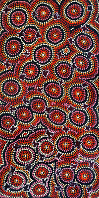 Aboriginal Artwork by Dora Napaljarri Kitson, Ngatijirri Jukurrpa (Budgerigar Dreaming), 61x30cm