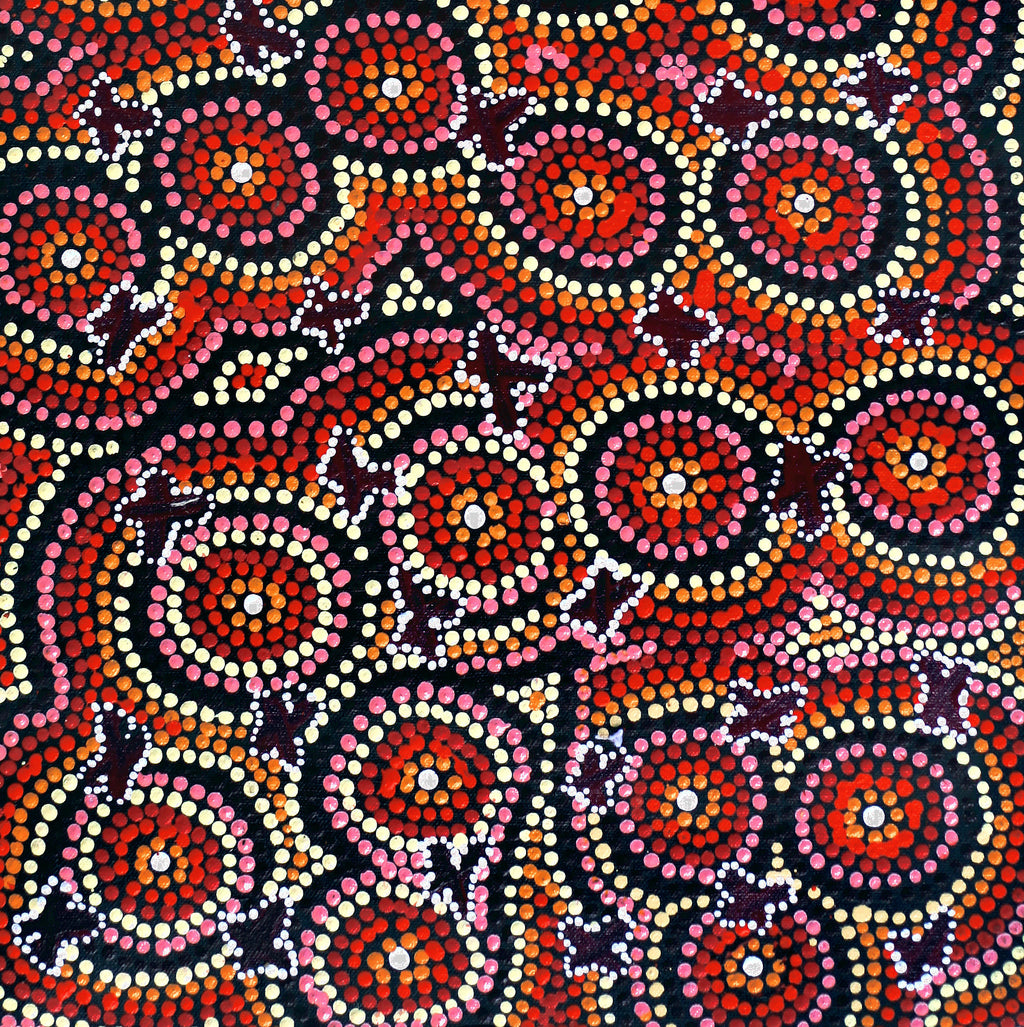 Aboriginal Artwork by Dora Napaljarri Kitson, Ngatijirri Jukurrpa (Budgerigar Dreaming), 61x30cm