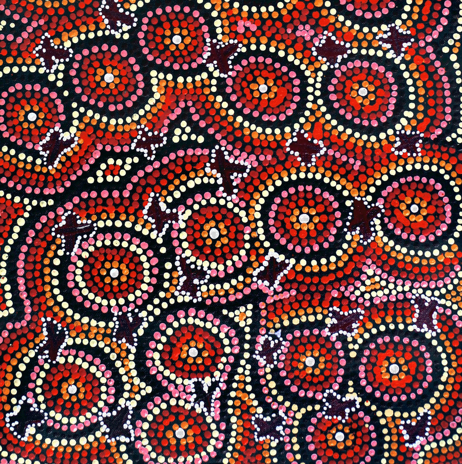 Aboriginal Artwork by Dora Napaljarri Kitson, Ngatijirri Jukurrpa (Budgerigar Dreaming), 61x30cm