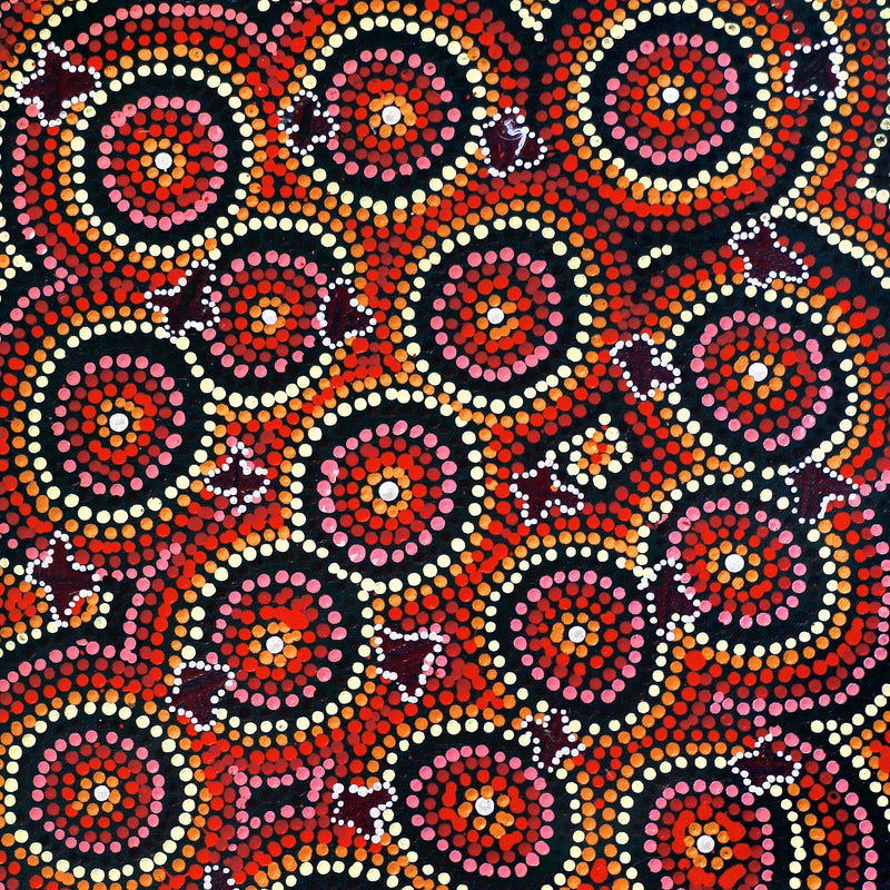 Aboriginal Artwork by Dora Napaljarri Kitson, Ngatijirri Jukurrpa (Budgerigar Dreaming), 61x30cm