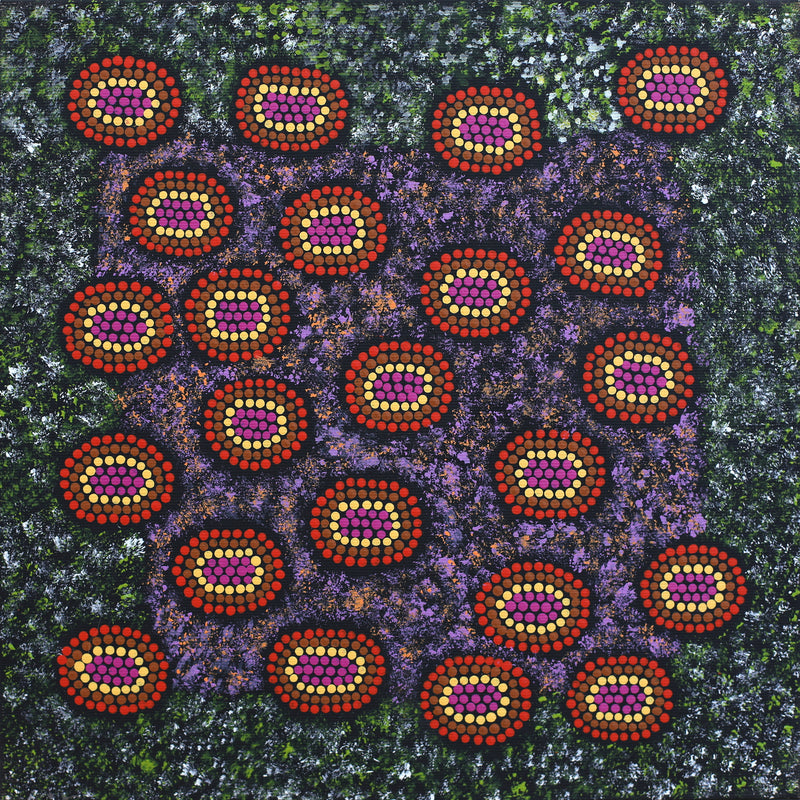 Aboriginal Artwork by Doreen Nampijinpa Tilmouth, Bush Tucker, 30x30cm