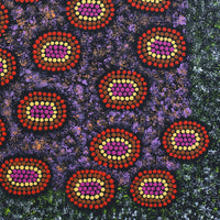Aboriginal Artwork by Doreen Nampijinpa Tilmouth, Bush Tucker, 30x30cm