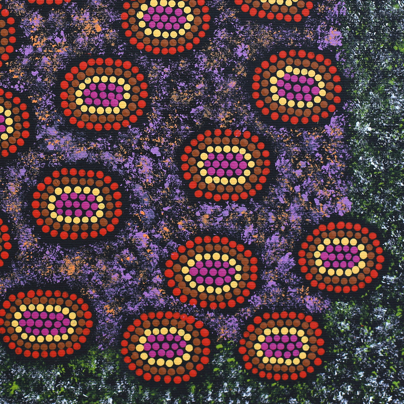 Aboriginal Artwork by Doreen Nampijinpa Tilmouth, Bush Tucker, 30x30cm