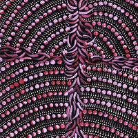 Aboriginal Artwork by Drusilla Nangala Spencer, Watiya-warnu Jukurrpa (Seed Dreaming), 91x30cm