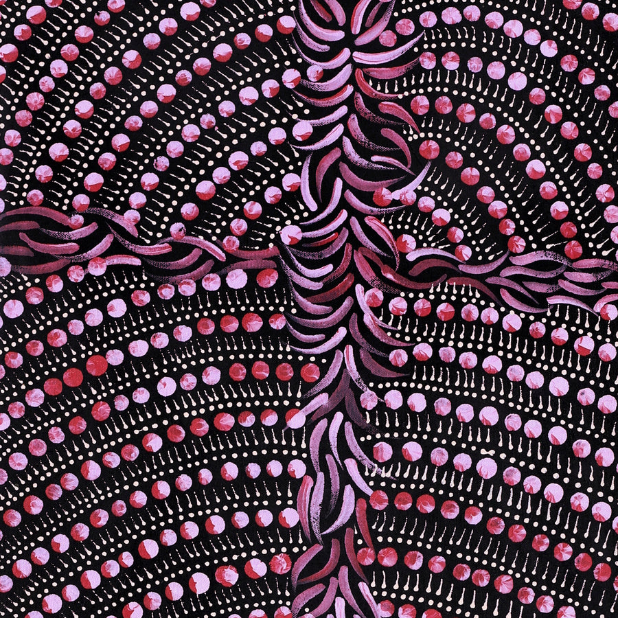 Aboriginal Artwork by Drusilla Nangala Spencer, Watiya-warnu Jukurrpa (Seed Dreaming), 91x30cm
