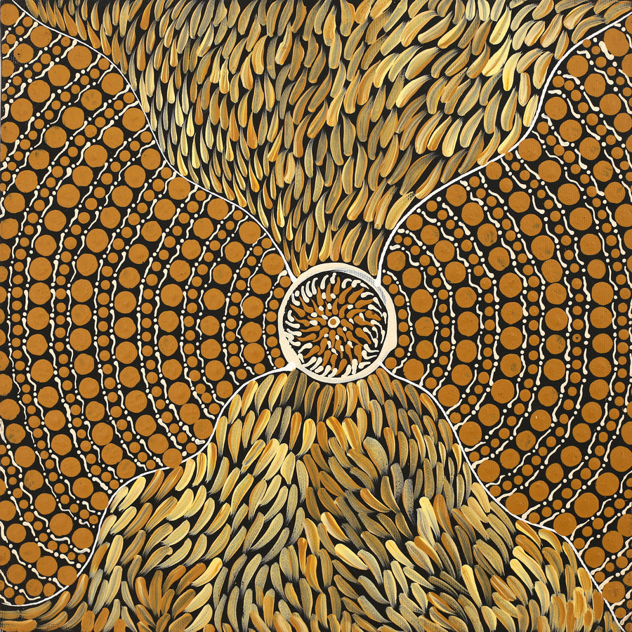 Aboriginal Artwork by Drusilla Nangala Spencer, Watiya-warnu Jukurrpa (Seed Dreaming), 30x30cm