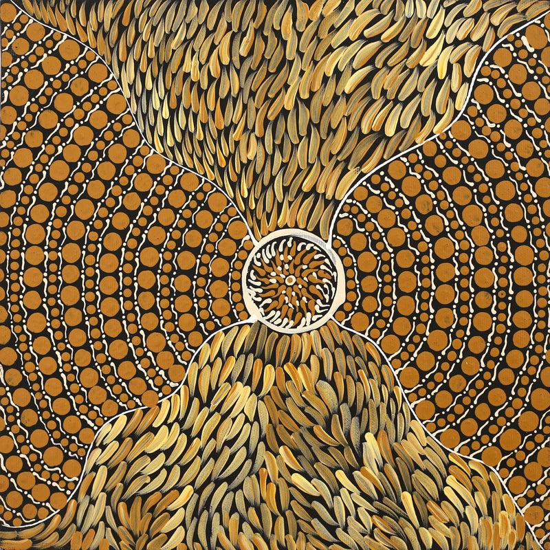 Aboriginal Artwork by Drusilla Nangala Spencer, Watiya-warnu Jukurrpa (Seed Dreaming), 30x30cm