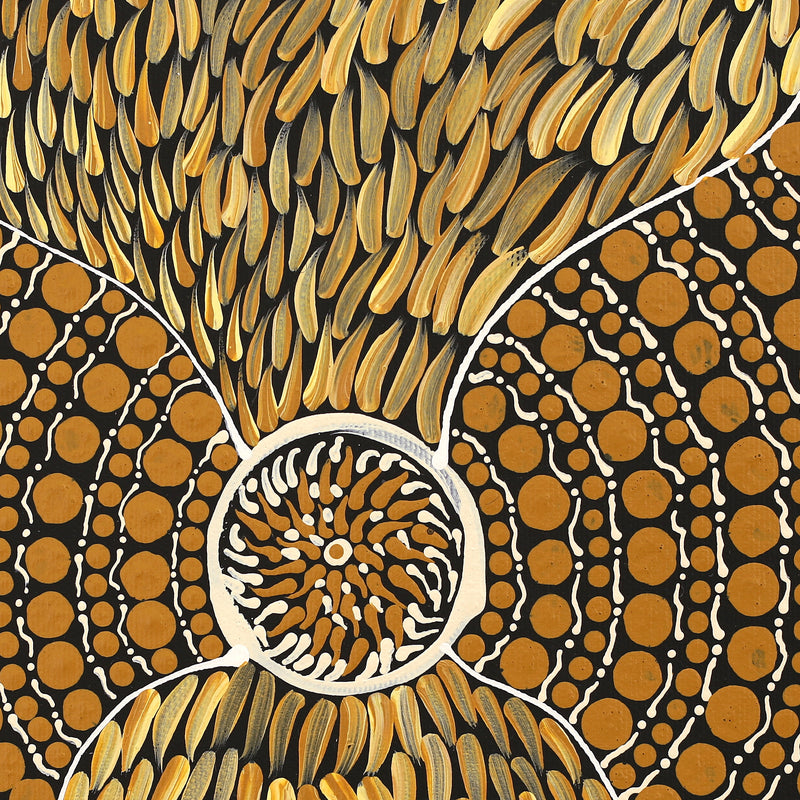 Aboriginal Artwork by Drusilla Nangala Spencer, Watiya-warnu Jukurrpa (Seed Dreaming), 30x30cm