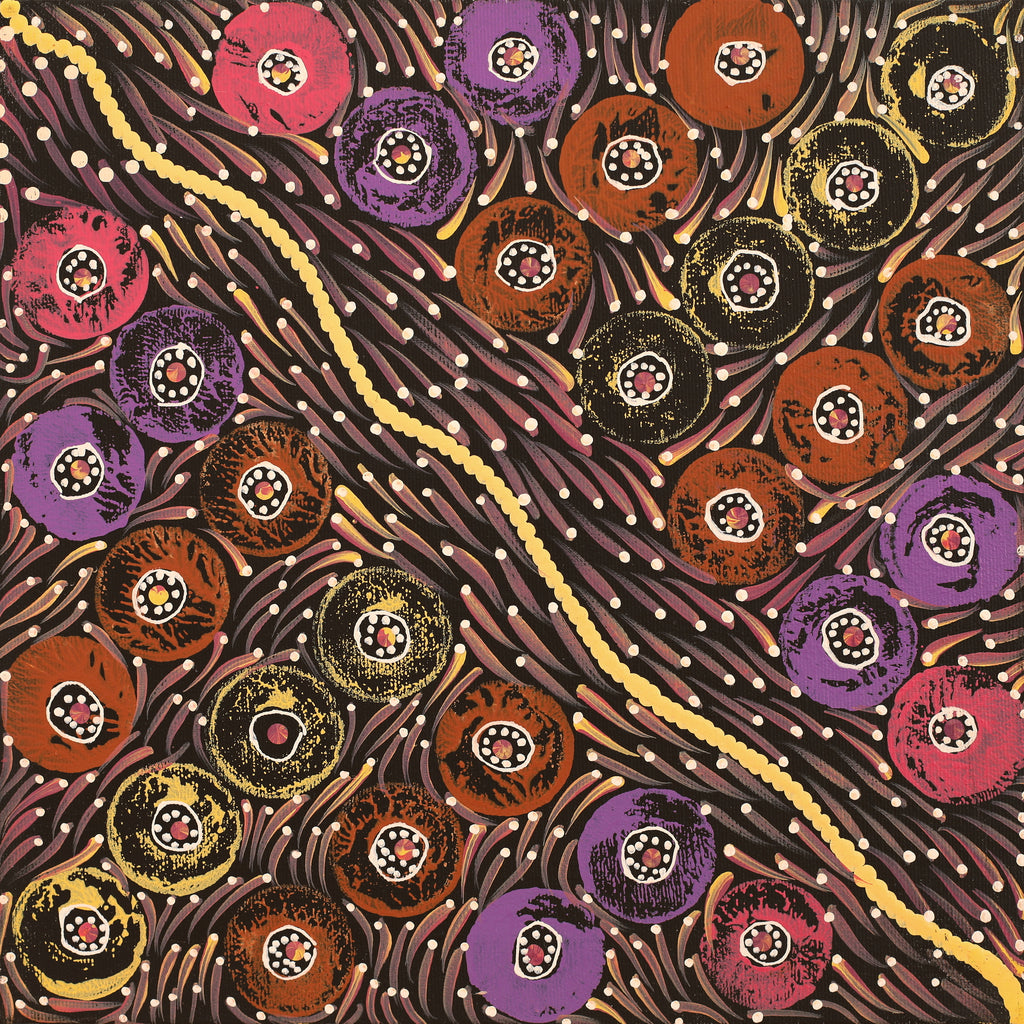 Aboriginal Artwork by Drusilla Nangala Spencer, Watiya-warnu Jukurrpa (Seed Dreaming), 30x30cm