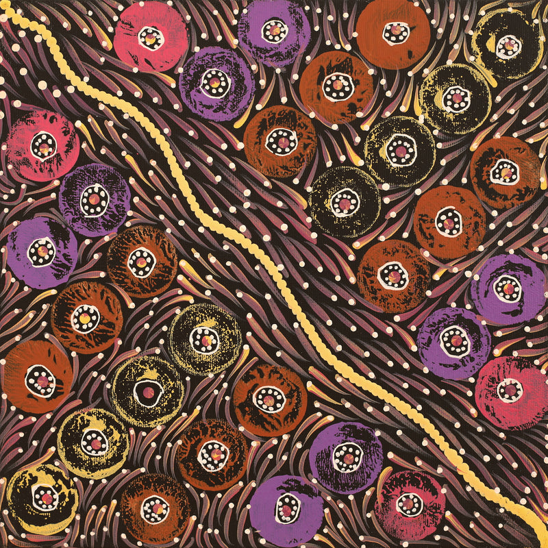 Aboriginal Artwork by Drusilla Nangala Spencer, Watiya-warnu Jukurrpa (Seed Dreaming), 30x30cm