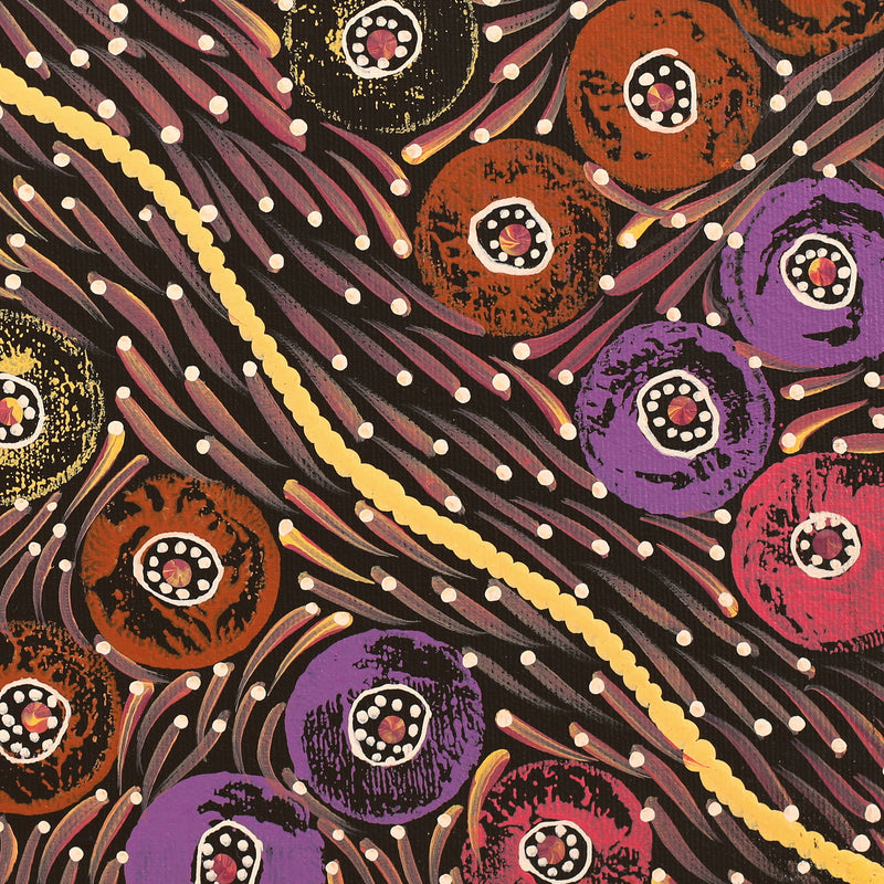Aboriginal Artwork by Drusilla Nangala Spencer, Watiya-warnu Jukurrpa (Seed Dreaming), 30x30cm
