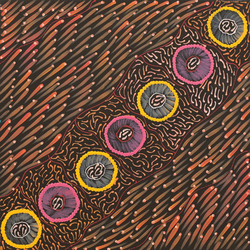 Aboriginal Artwork by Drusilla Nangala Spencer, Watiya-warnu Jukurrpa (Seed Dreaming), 30x30cm - ART ARK®