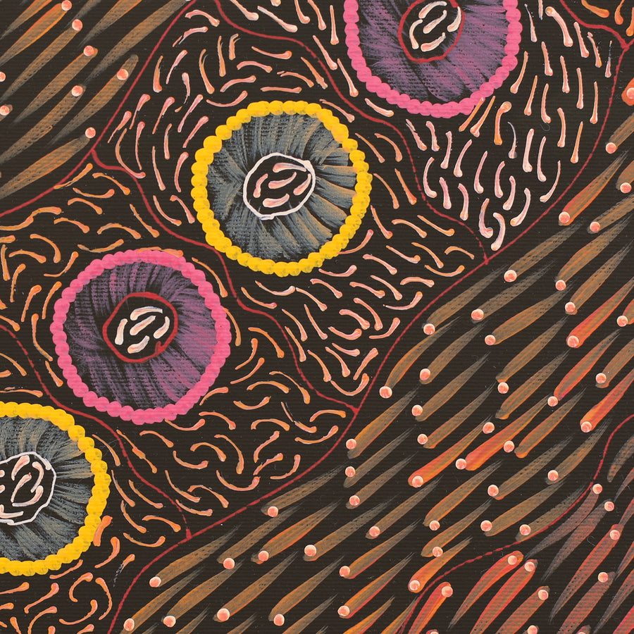 Aboriginal Artwork by Drusilla Nangala Spencer, Watiya-warnu Jukurrpa (Seed Dreaming), 30x30cm