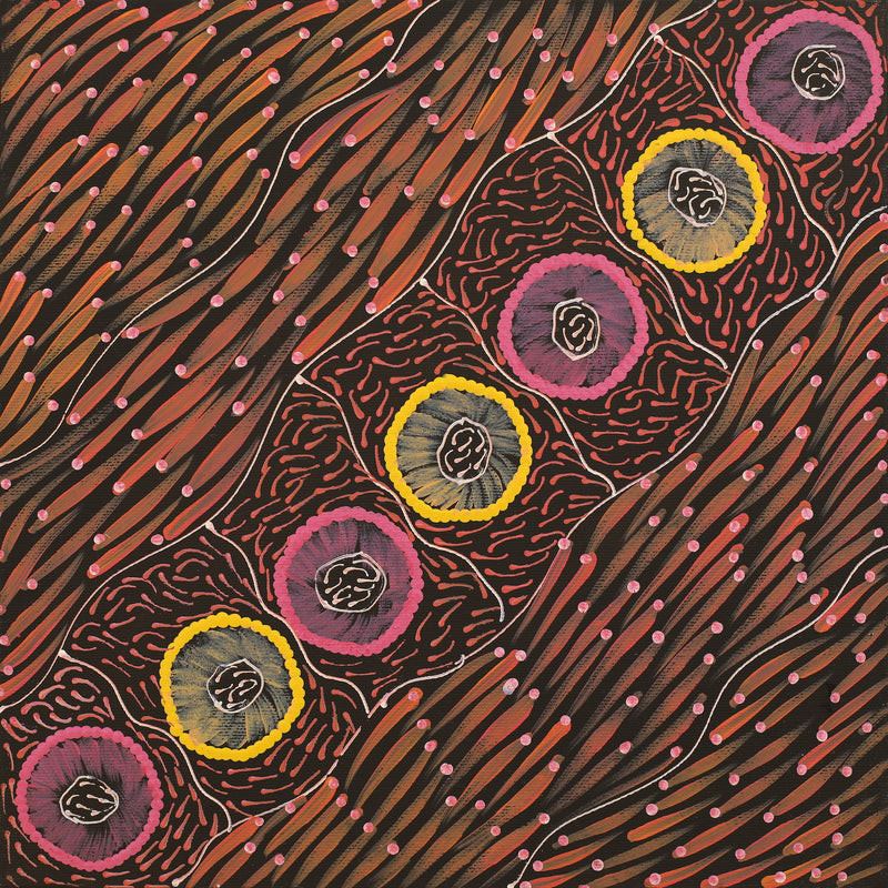 Aboriginal Artwork by Drusilla Nangala Spencer, Watiya-warnu Jukurrpa (Seed Dreaming), 30x30cm