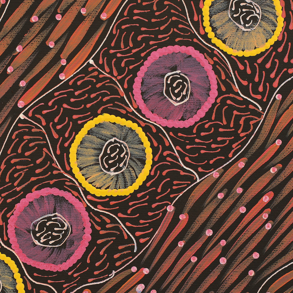 Aboriginal Artwork by Drusilla Nangala Spencer, Watiya-warnu Jukurrpa (Seed Dreaming), 30x30cm