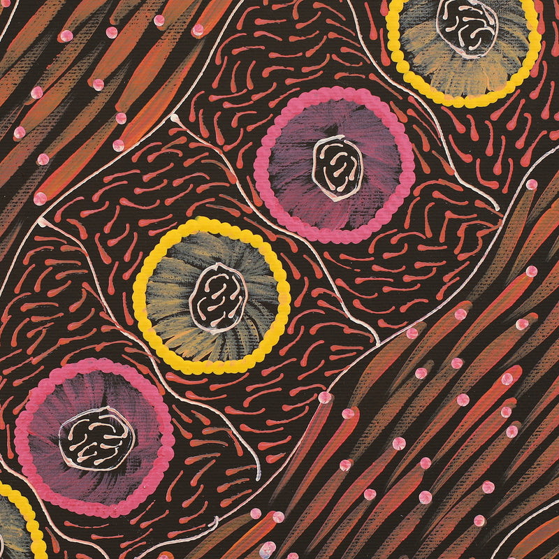 Aboriginal Artwork by Drusilla Nangala Spencer, Watiya-warnu Jukurrpa (Seed Dreaming), 30x30cm