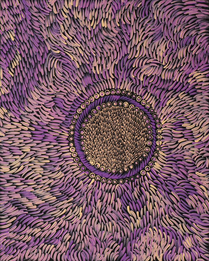 Aboriginal Artwork by Drusilla Nangala Spencer, Watiya-warnu Jukurrpa (Seed Dreaming), 50x40cm