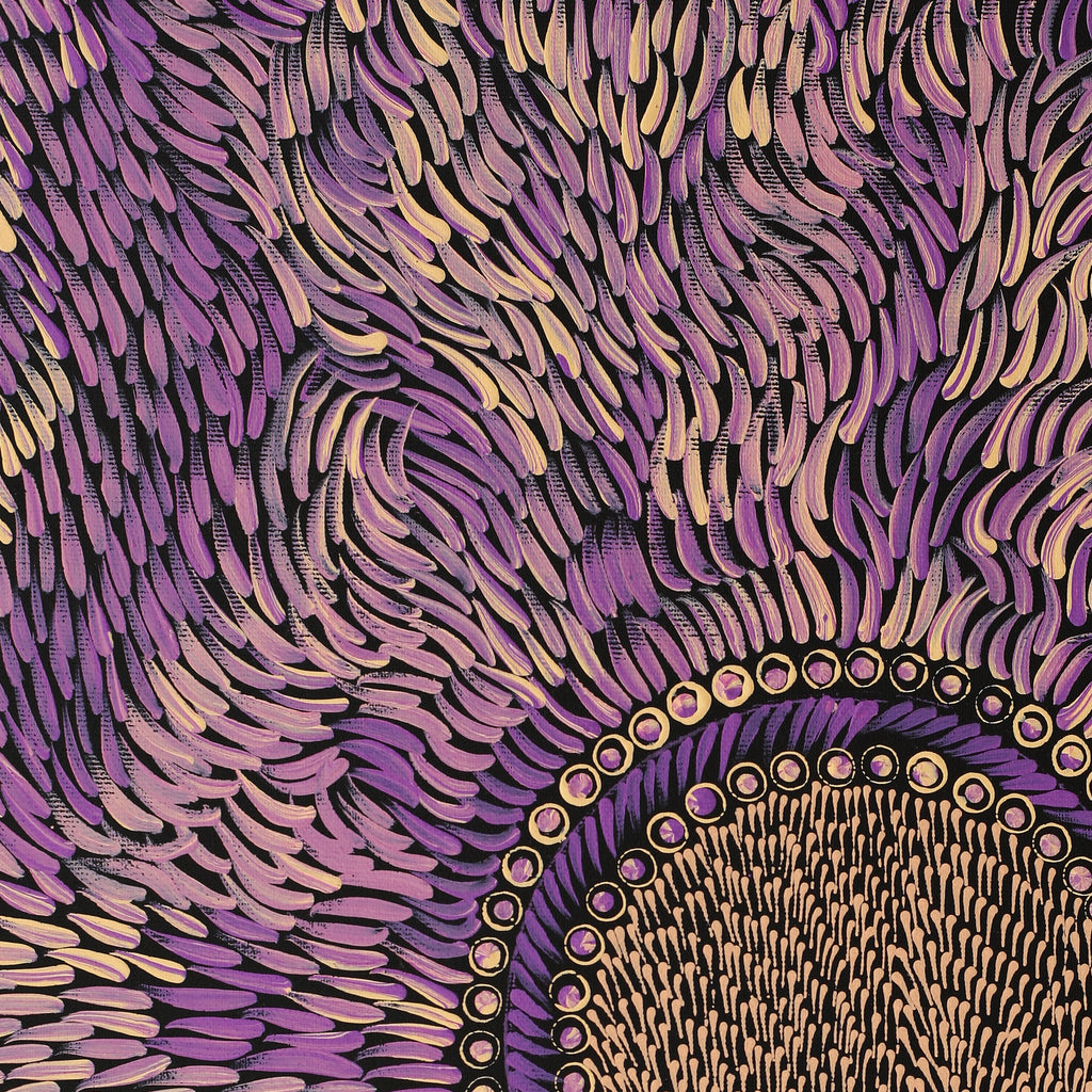 Aboriginal Artwork by Drusilla Nangala Spencer, Watiya-warnu Jukurrpa (Seed Dreaming), 50x40cm