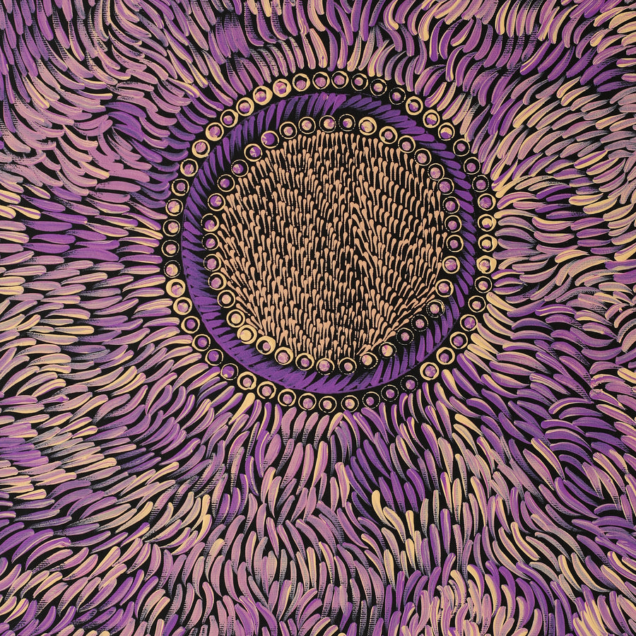 Aboriginal Artwork by Drusilla Nangala Spencer, Watiya-warnu Jukurrpa (Seed Dreaming), 50x40cm