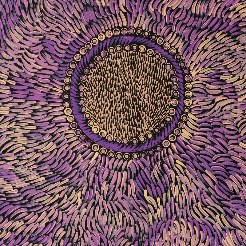 Aboriginal Artwork by Drusilla Nangala Spencer, Watiya-warnu Jukurrpa (Seed Dreaming), 50x40cm