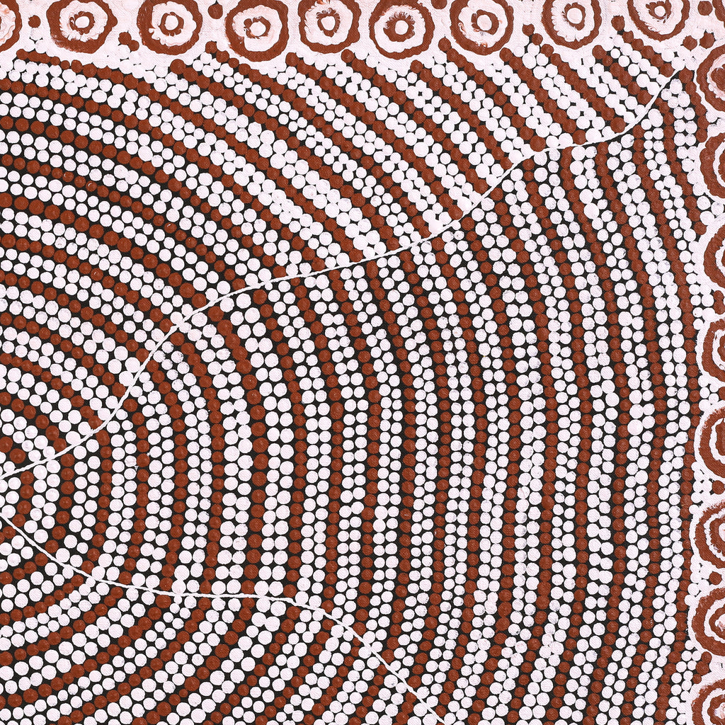 Aboriginal Artwork by Drusilla Nangala Spencer, Watiya-warnu Jukurrpa (Seed Dreaming), 76x46cm