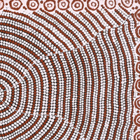 Aboriginal Artwork by Drusilla Nangala Spencer, Watiya-warnu Jukurrpa (Seed Dreaming), 76x46cm