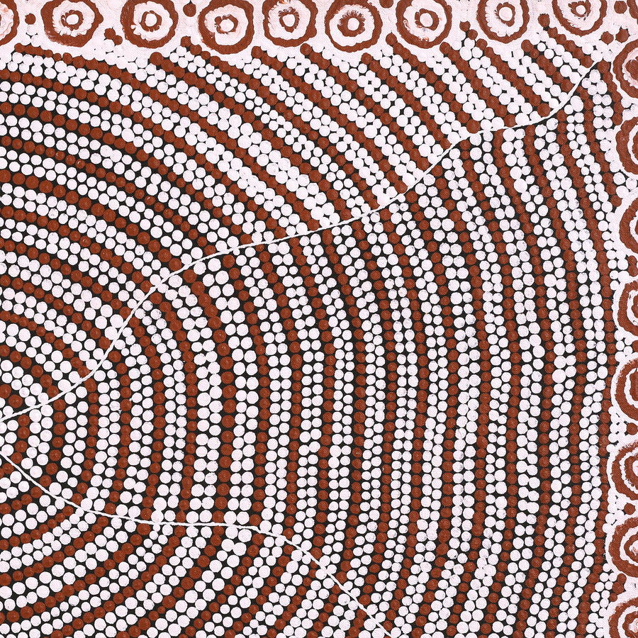 Aboriginal Artwork by Drusilla Nangala Spencer, Watiya-warnu Jukurrpa (Seed Dreaming), 76x46cm