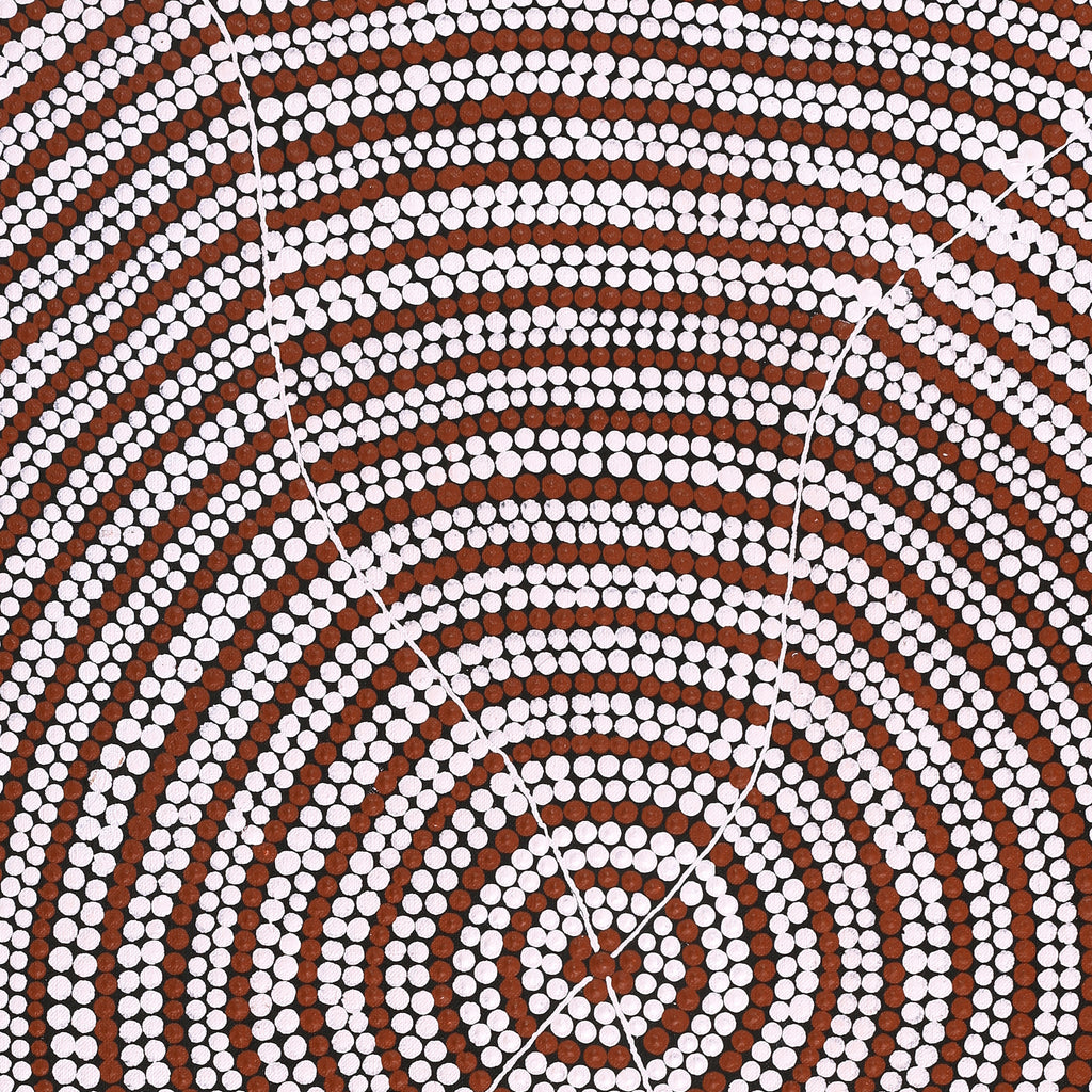 Aboriginal Artwork by Drusilla Nangala Spencer, Watiya-warnu Jukurrpa (Seed Dreaming), 76x46cm