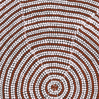Aboriginal Artwork by Drusilla Nangala Spencer, Watiya-warnu Jukurrpa (Seed Dreaming), 76x46cm