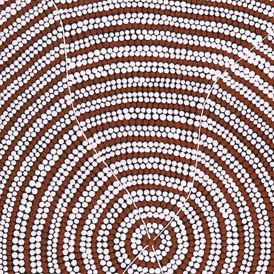 Aboriginal Artwork by Drusilla Nangala Spencer, Watiya-warnu Jukurrpa (Seed Dreaming), 76x46cm
