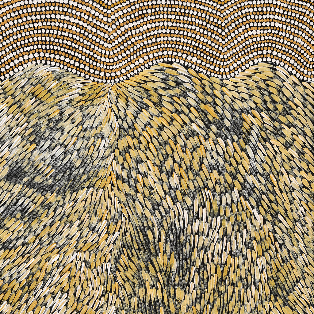 Aboriginal Artwork by Drusilla Nangala Spencer, Watiya-warnu Jukurrpa (Seed Dreaming), 76x61cm