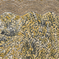Aboriginal Artwork by Drusilla Nangala Spencer, Watiya-warnu Jukurrpa (Seed Dreaming), 76x61cm