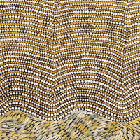 Aboriginal Artwork by Drusilla Nangala Spencer, Watiya-warnu Jukurrpa (Seed Dreaming), 76x61cm
