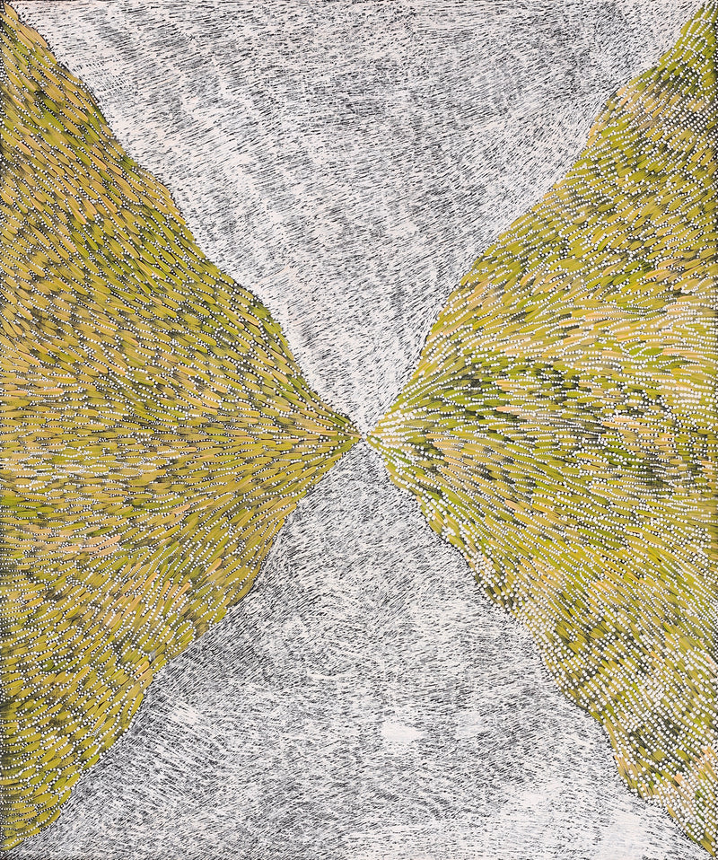 Aboriginal Artwork by Drusilla Nangala Spencer, Watiya-warnu Jukurrpa (Seed Dreaming), 91x76cm