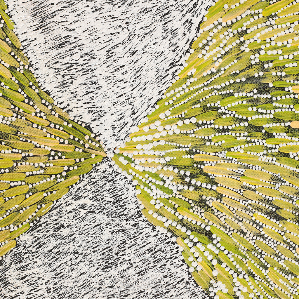 Aboriginal Artwork by Drusilla Nangala Spencer, Watiya-warnu Jukurrpa (Seed Dreaming), 91x76cm