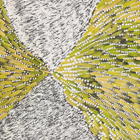 Aboriginal Artwork by Drusilla Nangala Spencer, Watiya-warnu Jukurrpa (Seed Dreaming), 91x76cm