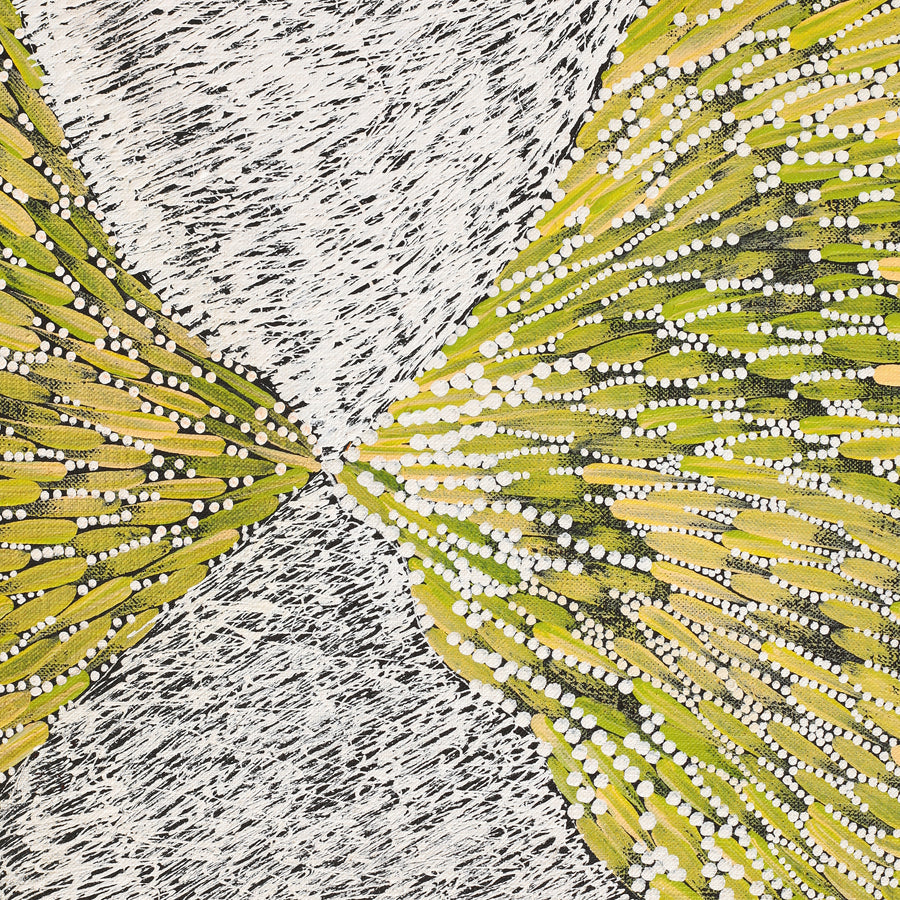 Aboriginal Artwork by Drusilla Nangala Spencer, Watiya-warnu Jukurrpa (Seed Dreaming), 91x76cm