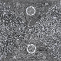 Aboriginal Artwork by Dulcie Nangala Frank, Ngarlkirdi Jukurrpa (Witchetty Grub Dreaming), 76x76cm