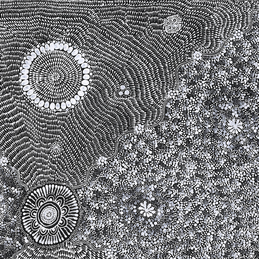 Aboriginal Artwork by Dulcie Nangala Frank, Ngarlkirdi Jukurrpa (Witchetty Grub Dreaming), 76x76cm